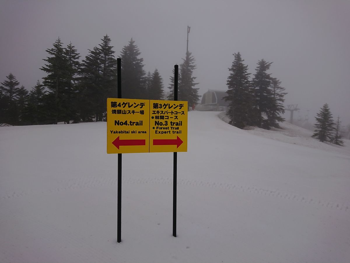 f:id:damtraveller:20210405172445j:plain