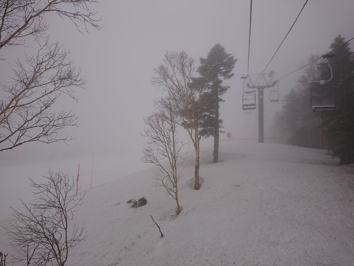 f:id:damtraveller:20210405174023j:plain