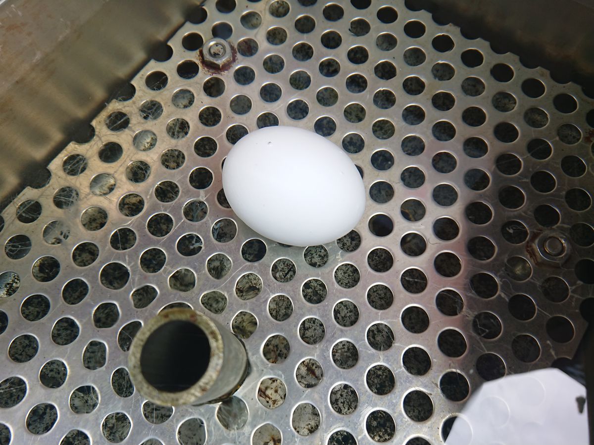 f:id:damtraveller:20210405175427j:plain