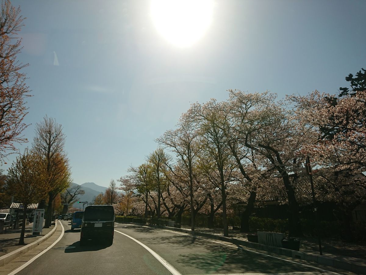 f:id:damtraveller:20210410195446j:plain