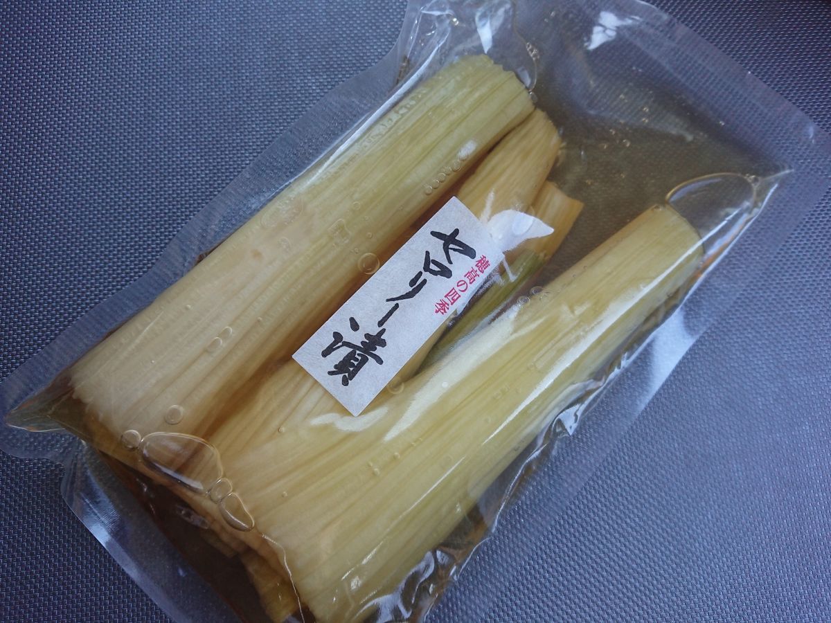 f:id:damtraveller:20210410203841j:plain