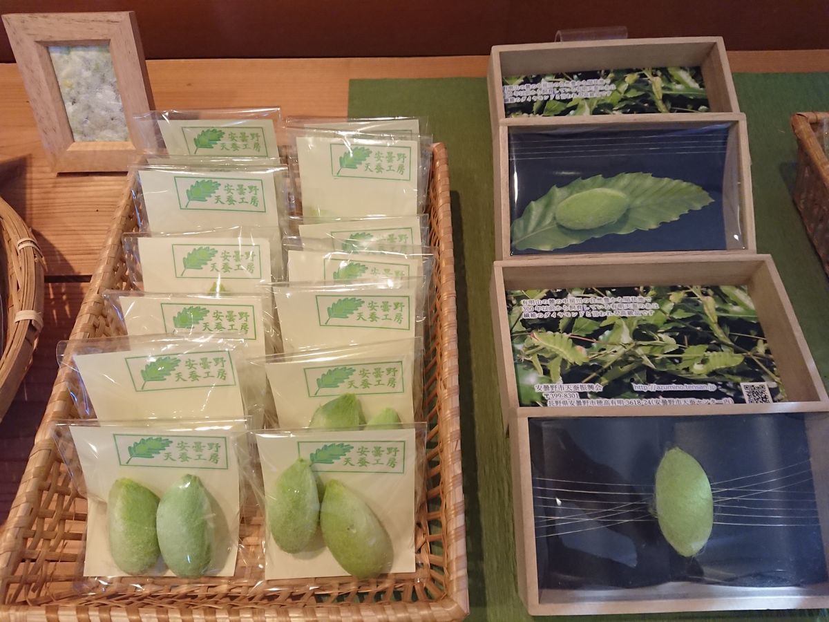 f:id:damtraveller:20210410224553j:plain