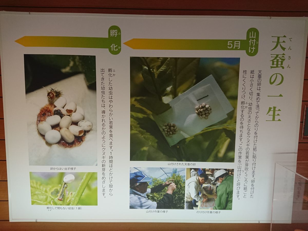 f:id:damtraveller:20210410224824j:plain