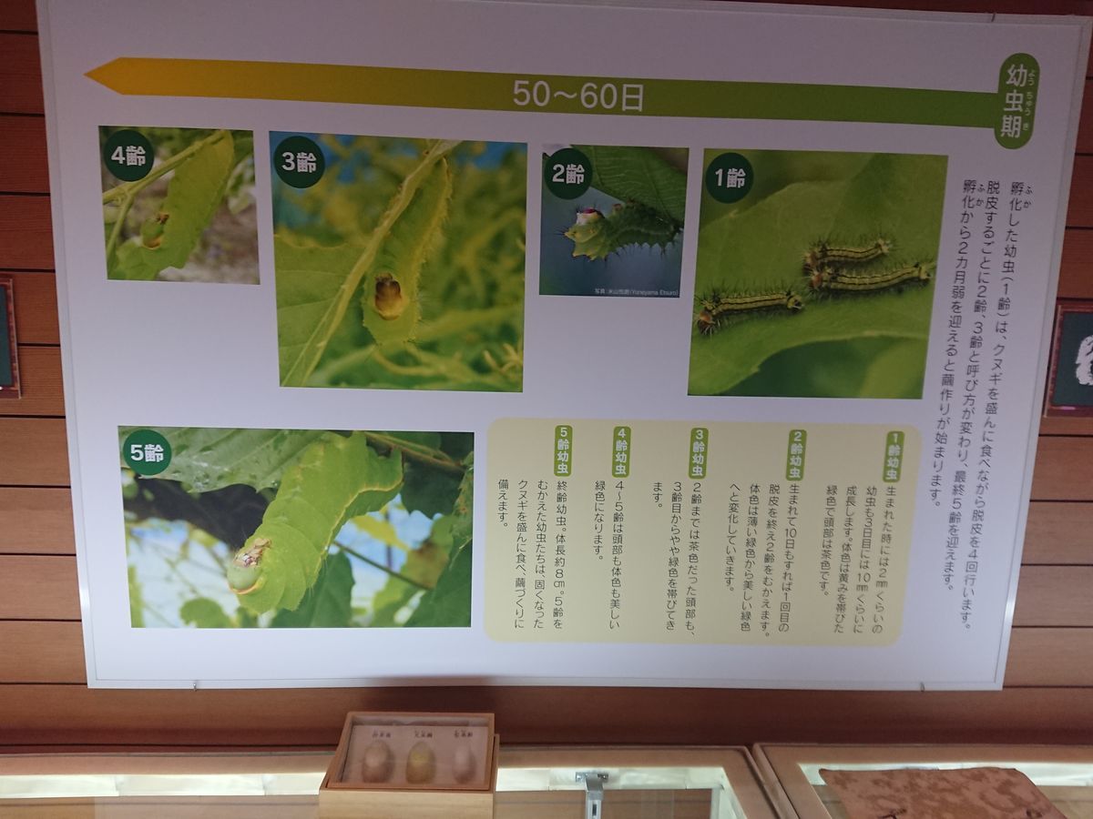 f:id:damtraveller:20210410224832j:plain