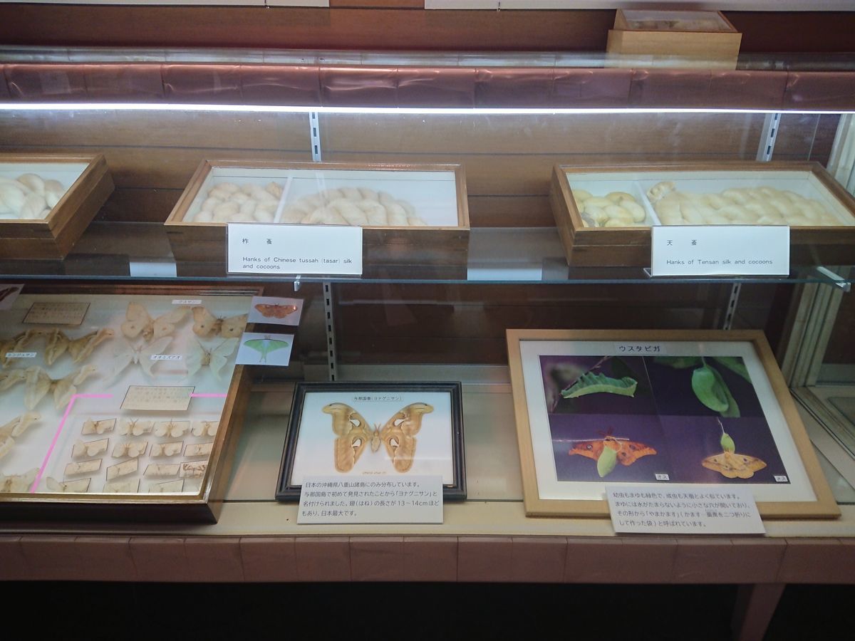 f:id:damtraveller:20210410225350j:plain