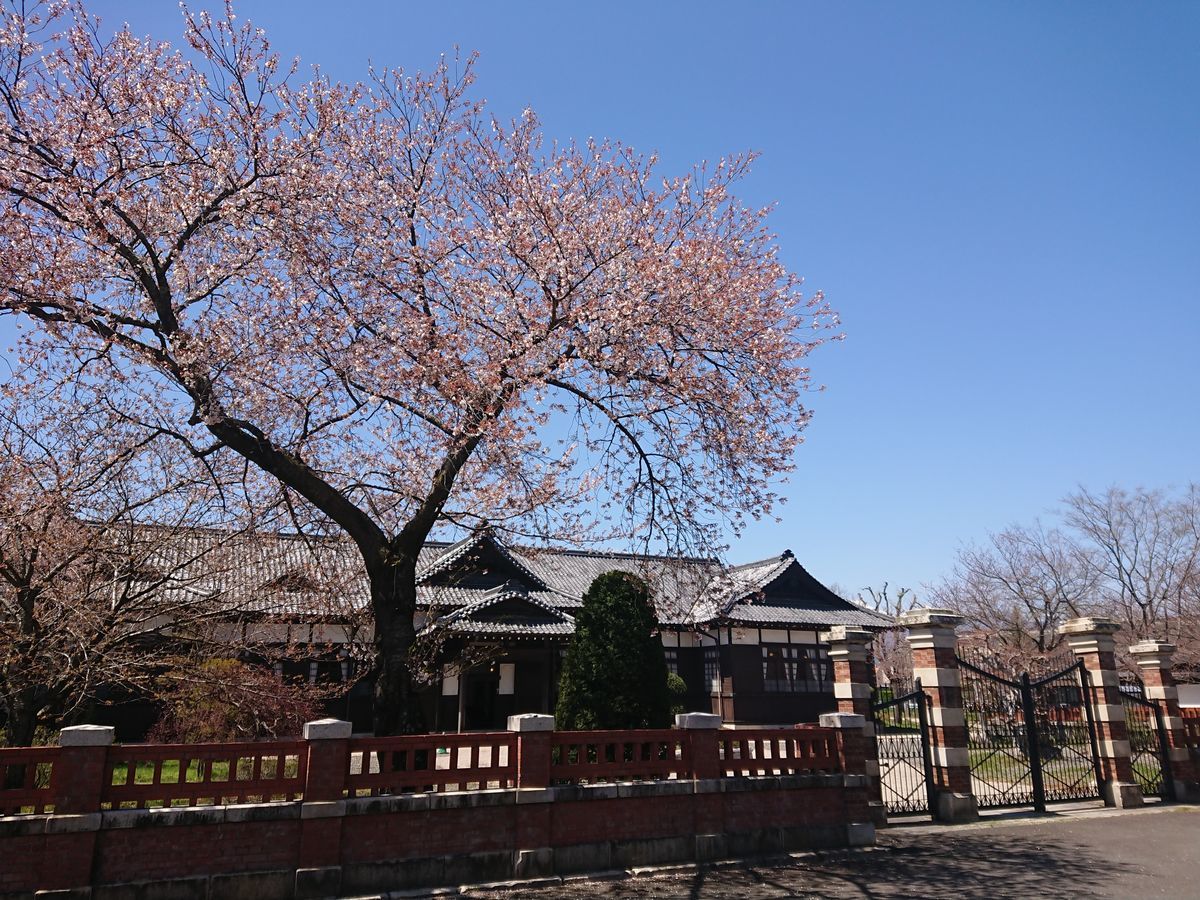 f:id:damtraveller:20210410230106j:plain