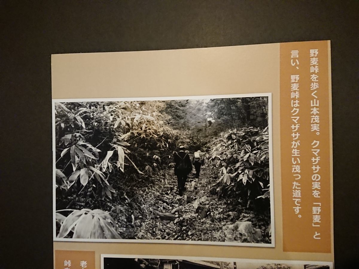 f:id:damtraveller:20210410235141j:plain