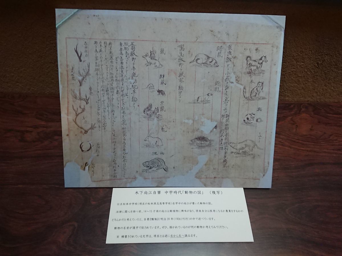 f:id:damtraveller:20210410235630j:plain