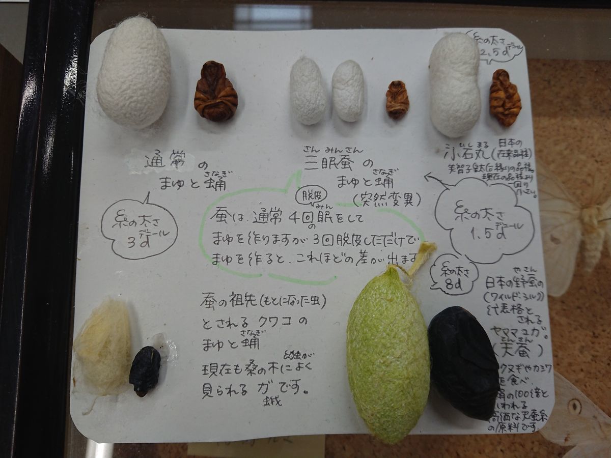 f:id:damtraveller:20210413214615j:plain