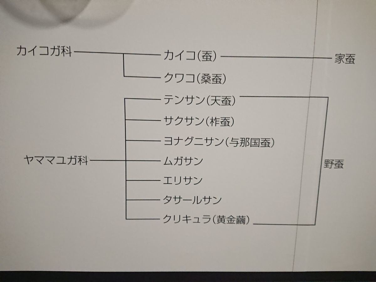 f:id:damtraveller:20210413214731j:plain