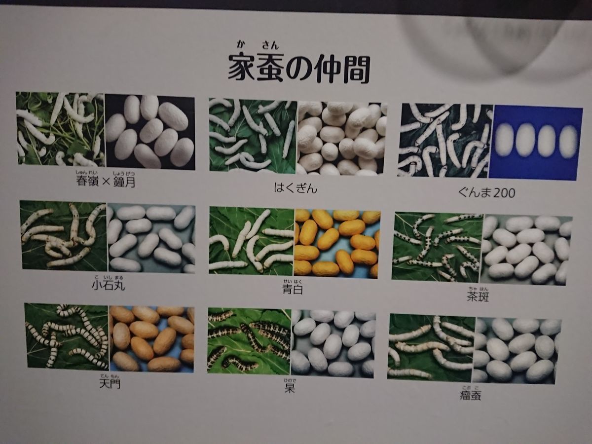 f:id:damtraveller:20210413214738j:plain