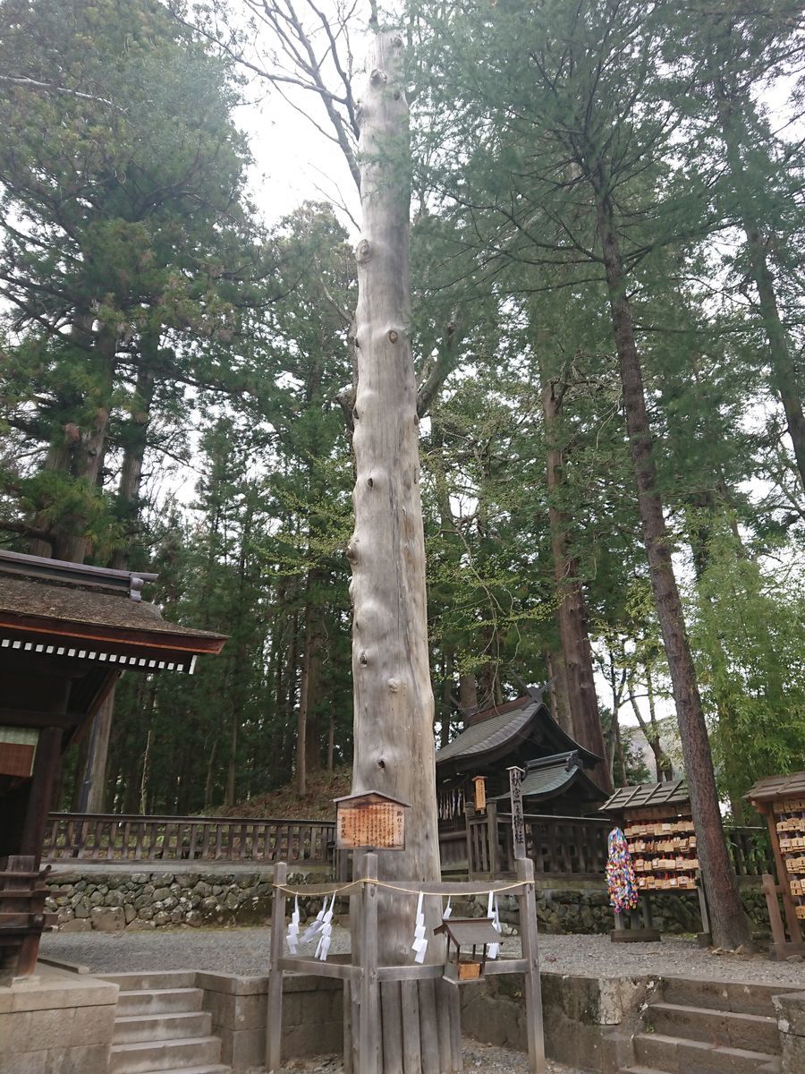 f:id:damtraveller:20210413220149j:plain