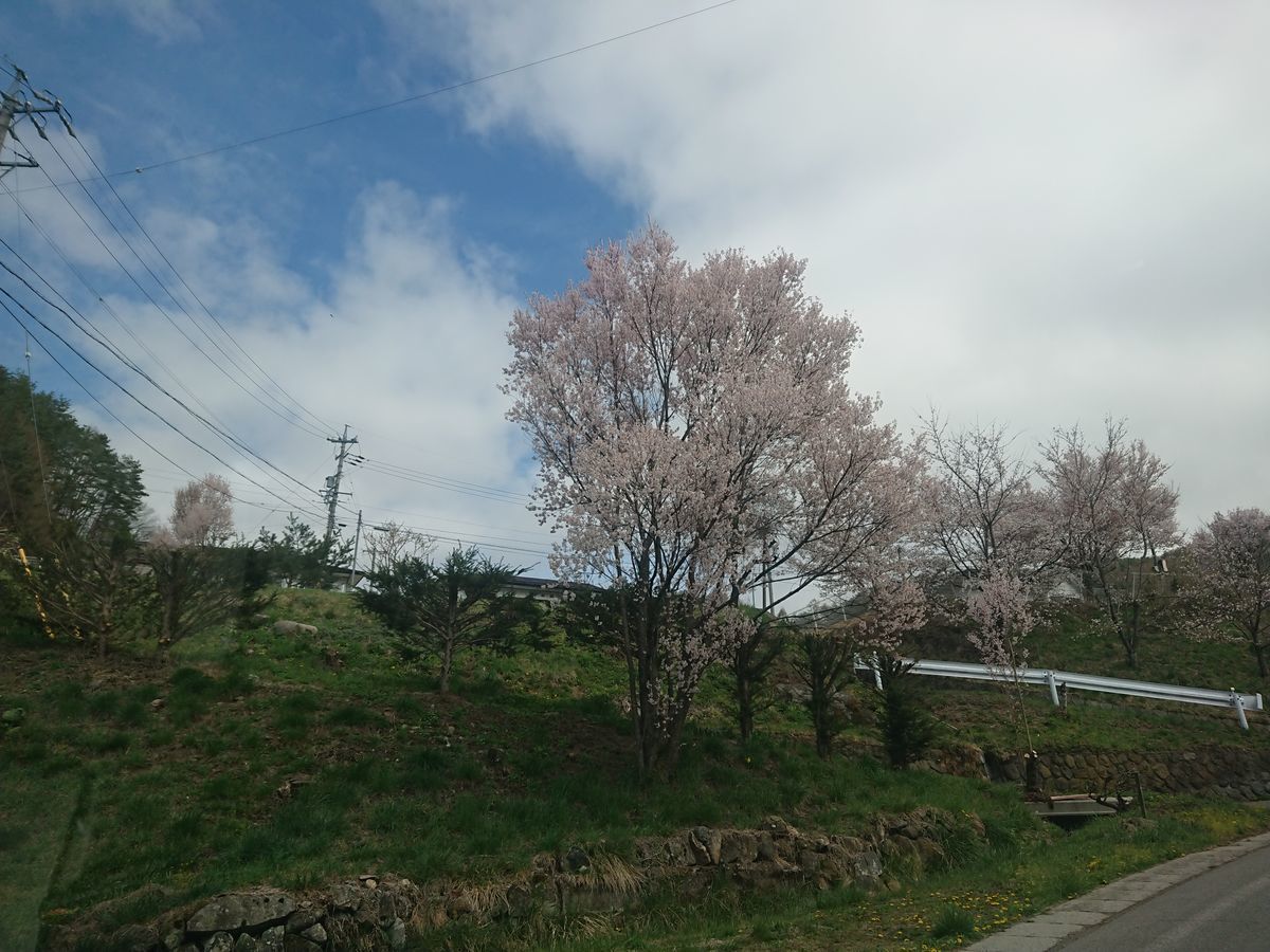 f:id:damtraveller:20210414194958j:plain