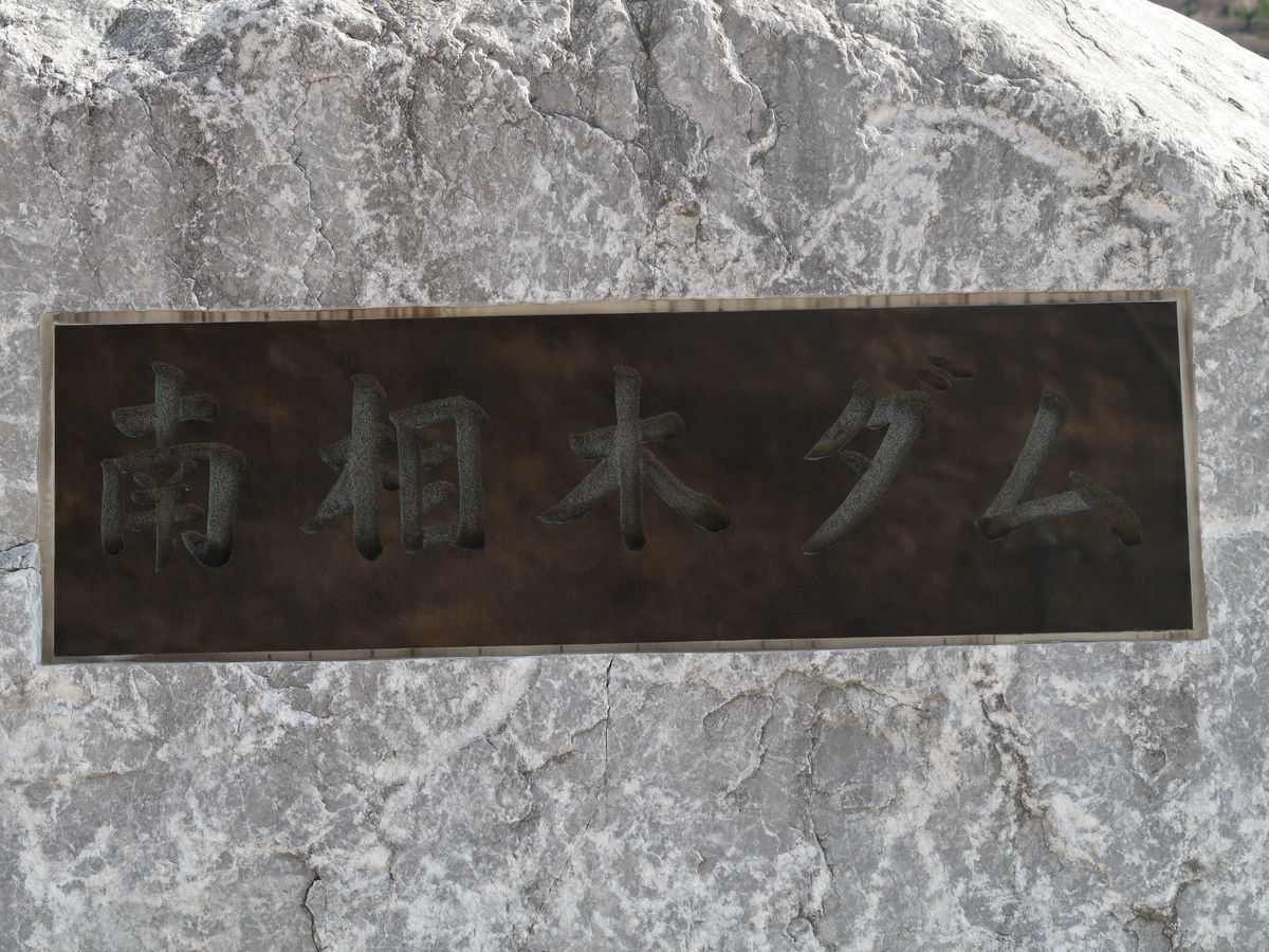 f:id:damtraveller:20210414202842j:plain