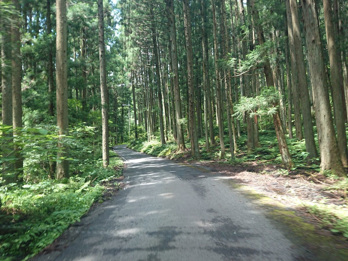 f:id:damtraveller:20210701151643j:plain