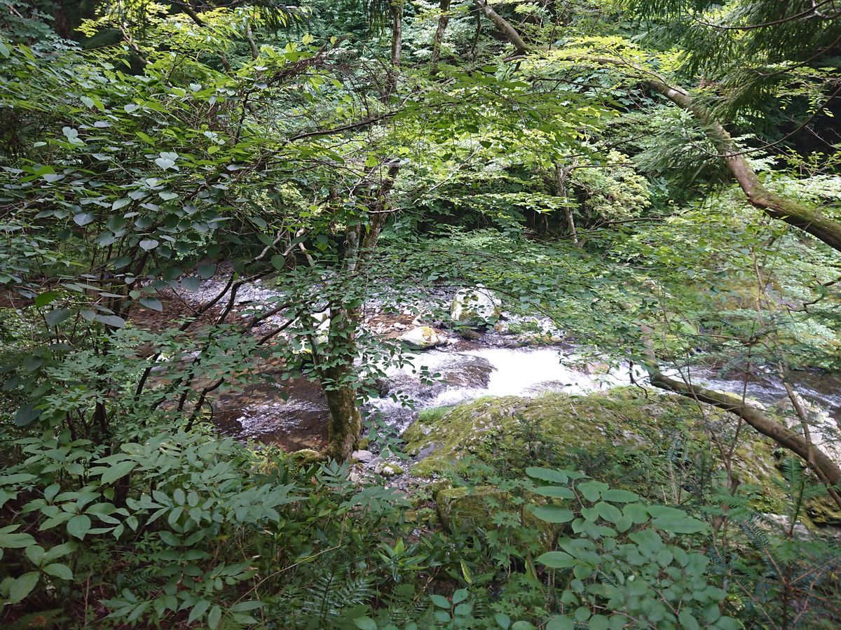 f:id:damtraveller:20210701154131j:plain