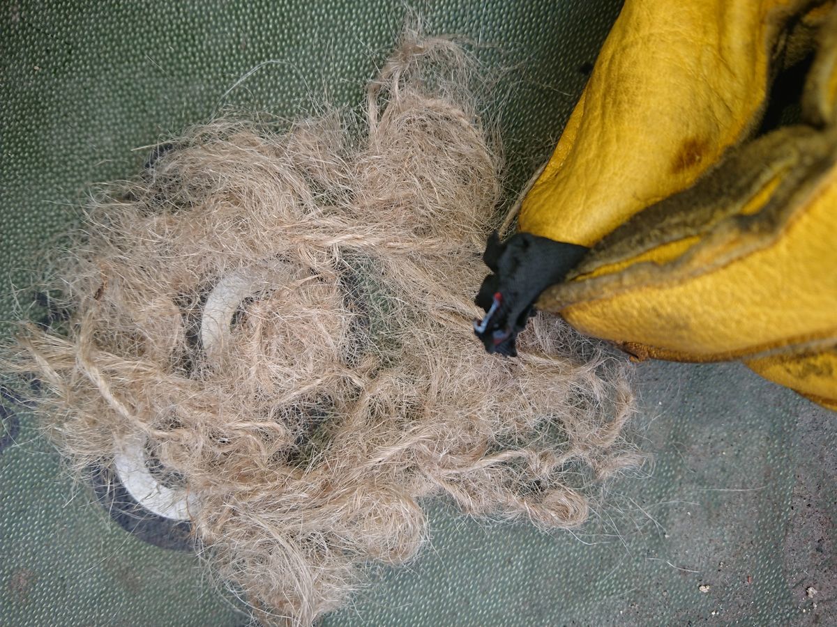 f:id:damtraveller:20210701161614j:plain