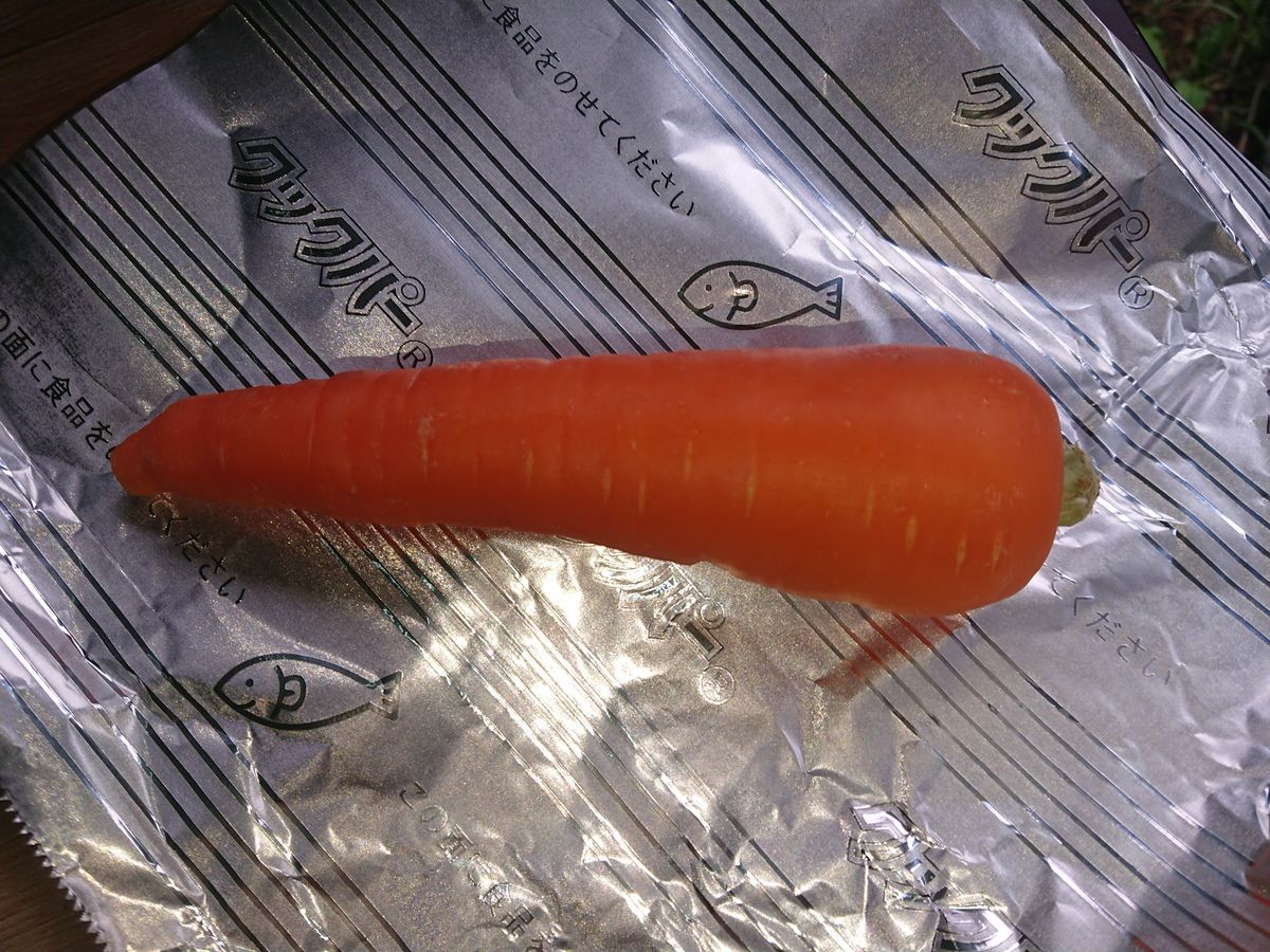 f:id:damtraveller:20210701163506j:plain