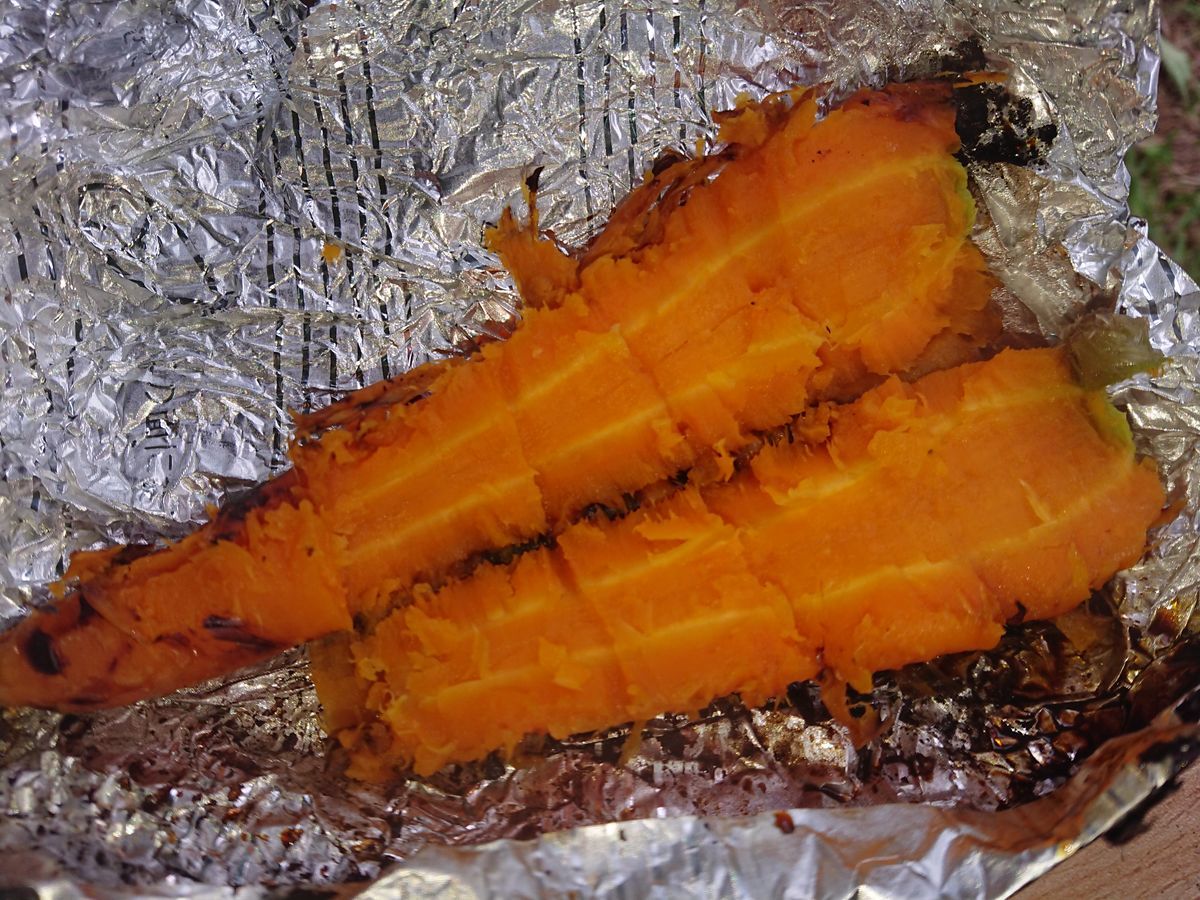 f:id:damtraveller:20210701163519j:plain