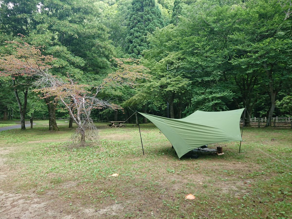 f:id:damtraveller:20210701174922j:plain