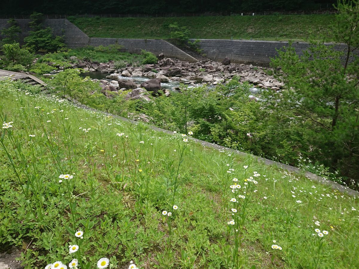 f:id:damtraveller:20210701175444j:plain