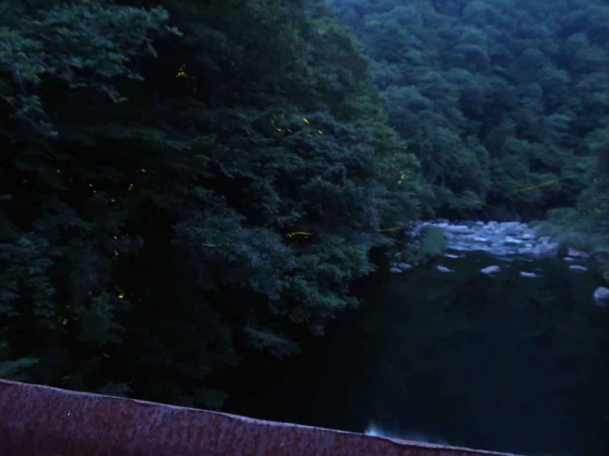 f:id:damtraveller:20210701194113j:plain