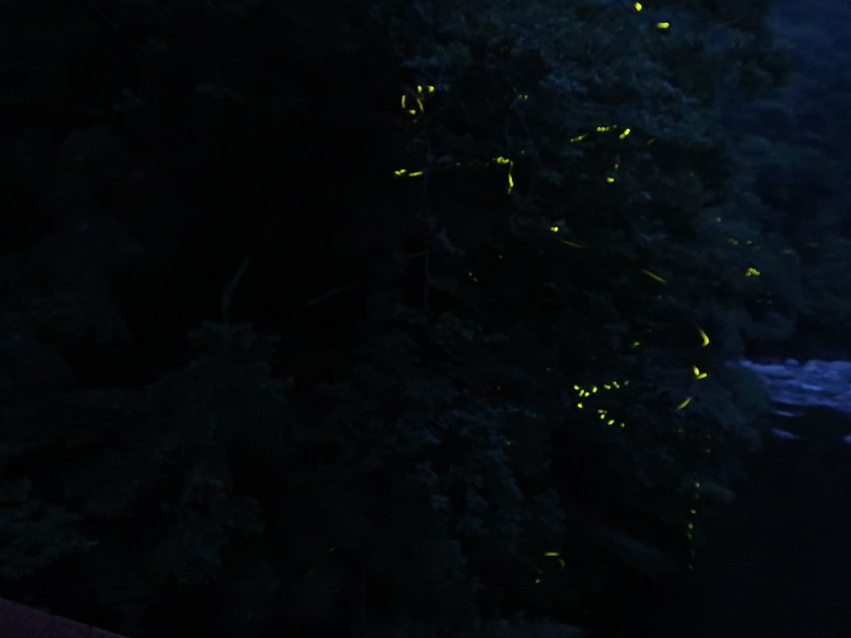 f:id:damtraveller:20210701194252j:plain