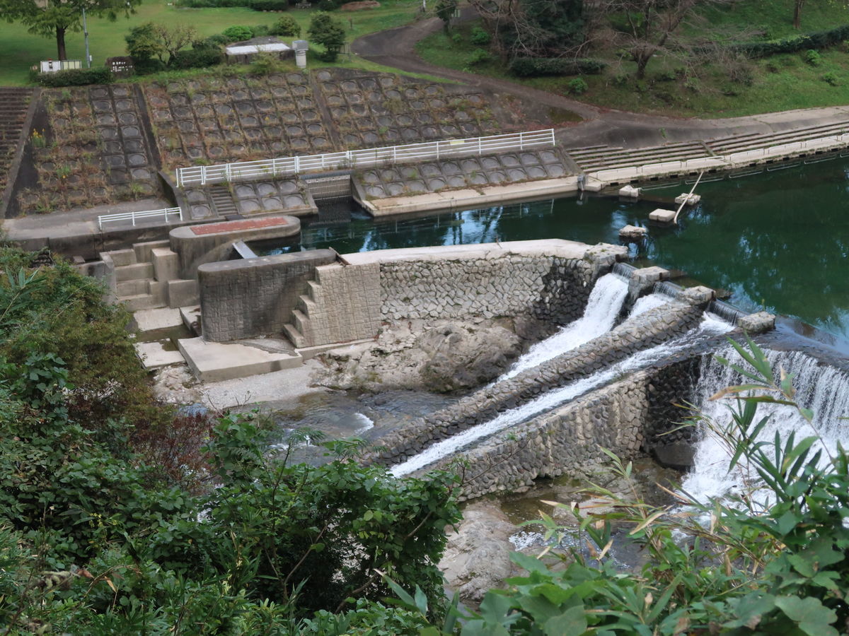 f:id:damtraveller:20211011223223j:plain