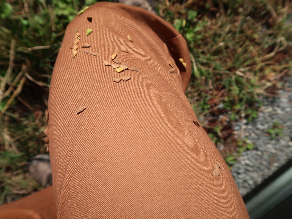 f:id:damtraveller:20211013123127j:plain