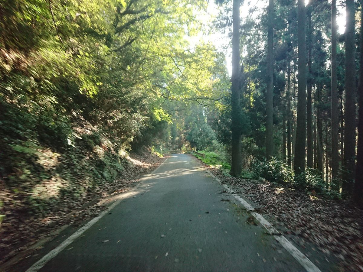 f:id:damtraveller:20211013130452j:plain