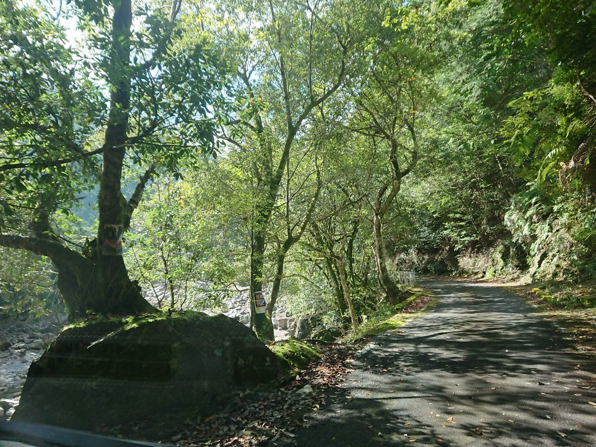 f:id:damtraveller:20211013133024j:plain