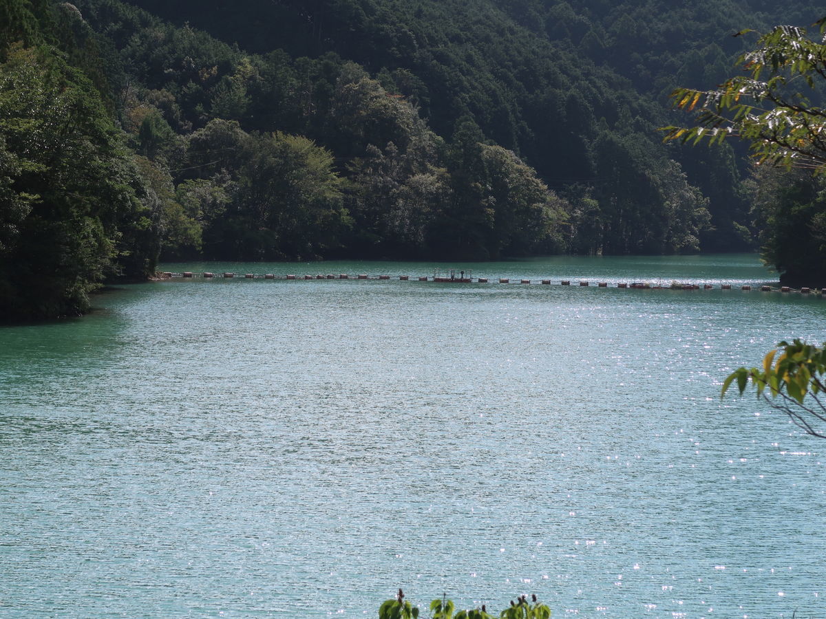 f:id:damtraveller:20211013133754j:plain