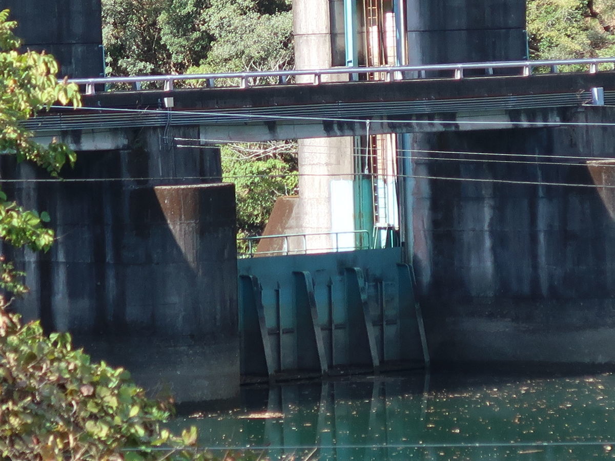 f:id:damtraveller:20211013150729j:plain