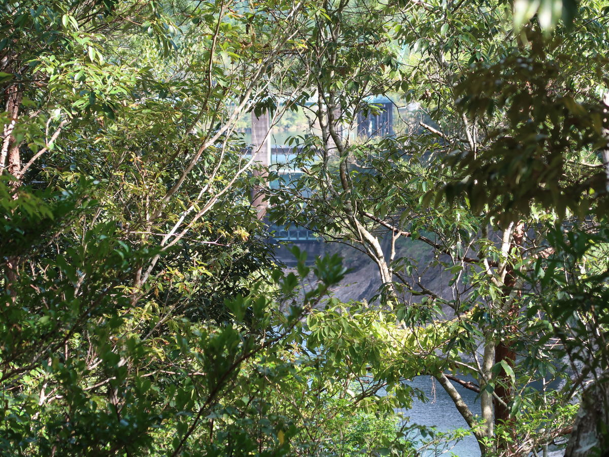 f:id:damtraveller:20211013151126j:plain