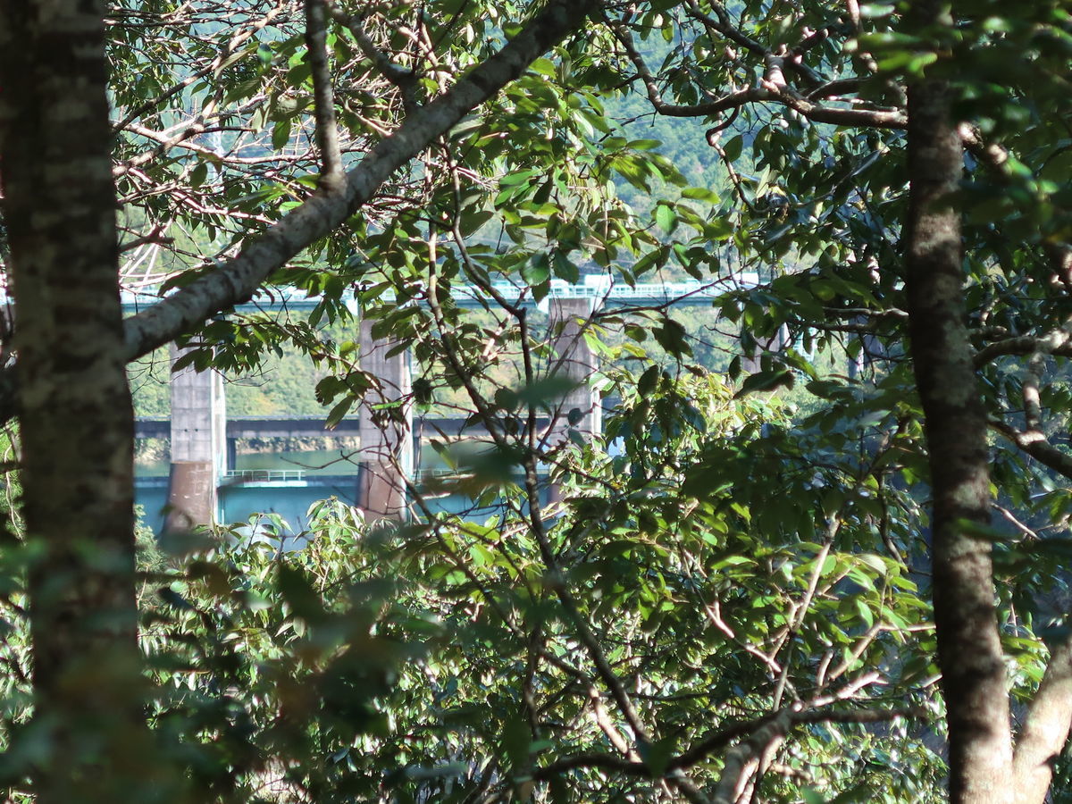 f:id:damtraveller:20211013151143j:plain