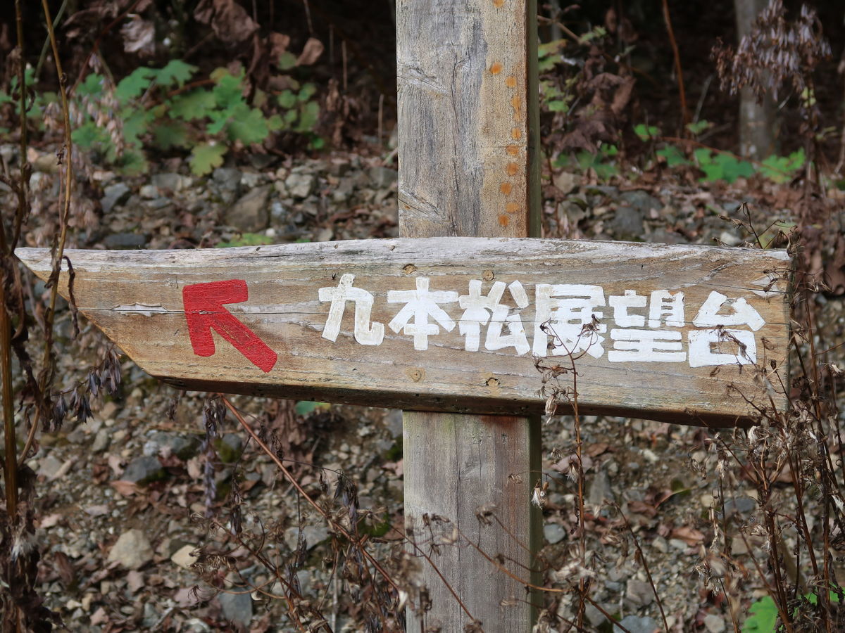 f:id:damtraveller:20211017211703j:plain