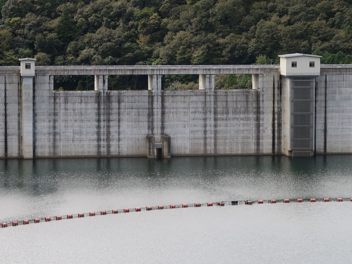 f:id:damtraveller:20211017214623j:plain