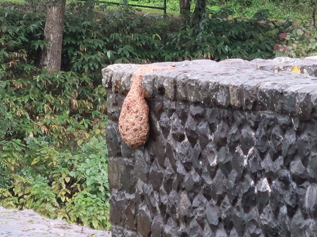 f:id:damtraveller:20211017220308j:plain