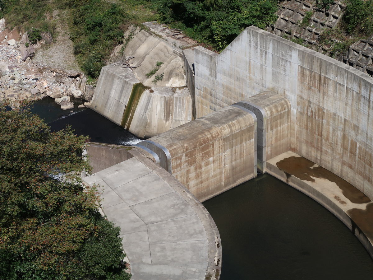 f:id:damtraveller:20211018191325j:plain