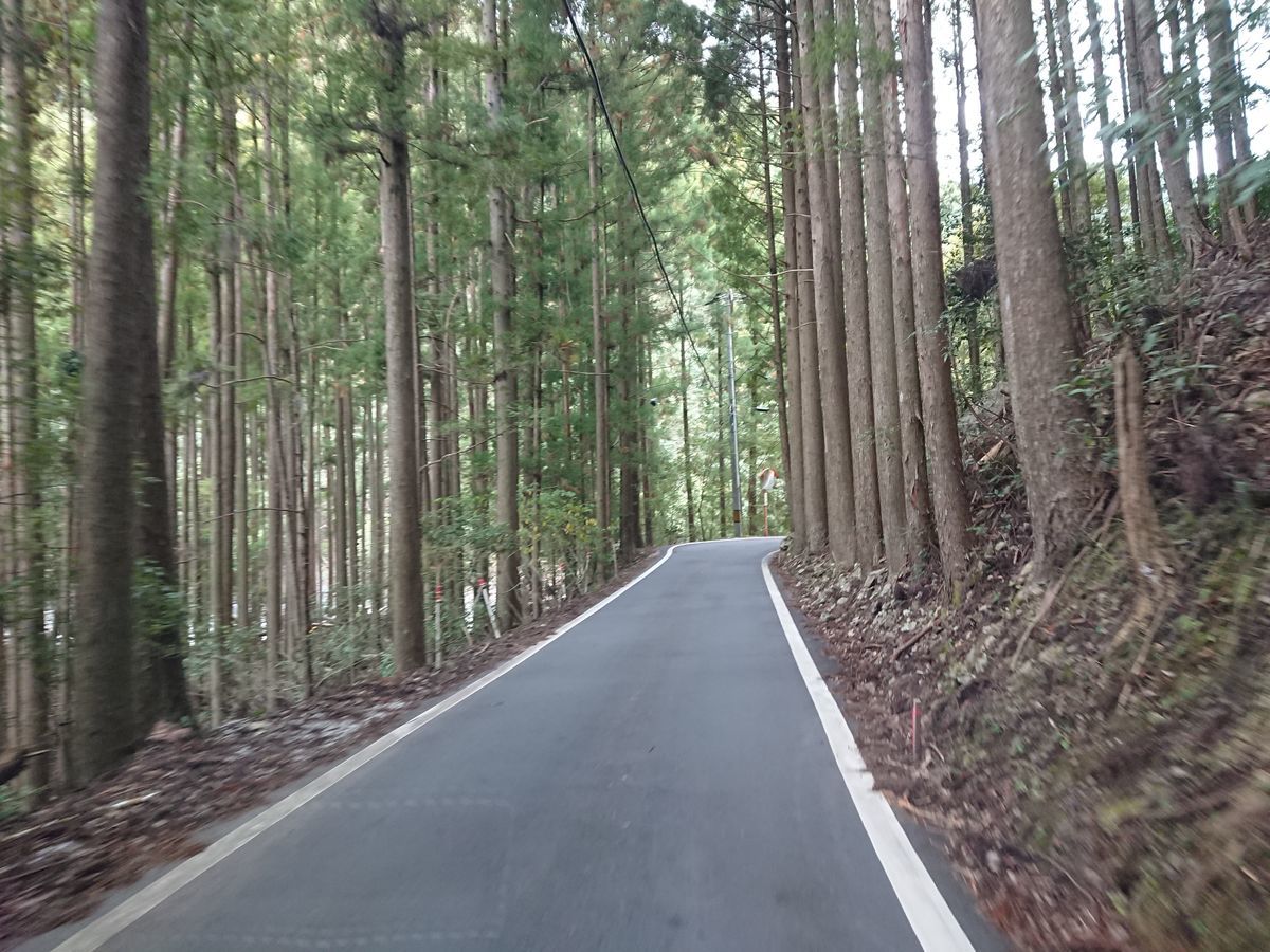 f:id:damtraveller:20211024201521j:plain