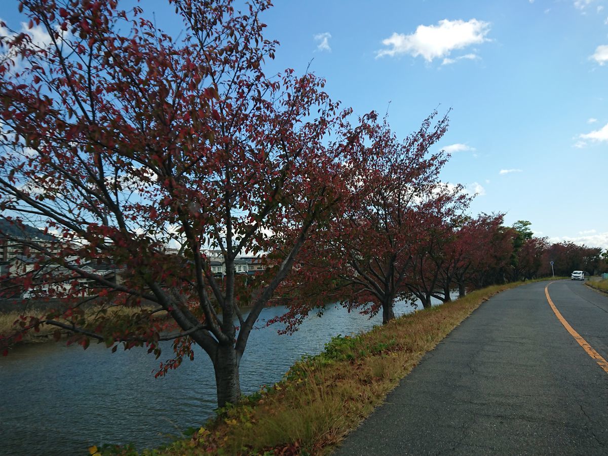 f:id:damtraveller:20211104223108j:plain