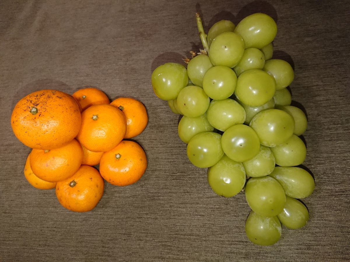 f:id:damtraveller:20211107093607j:plain