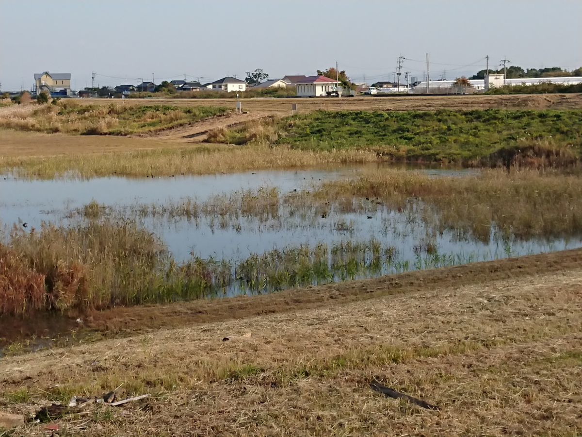 f:id:damtraveller:20211117191435j:plain