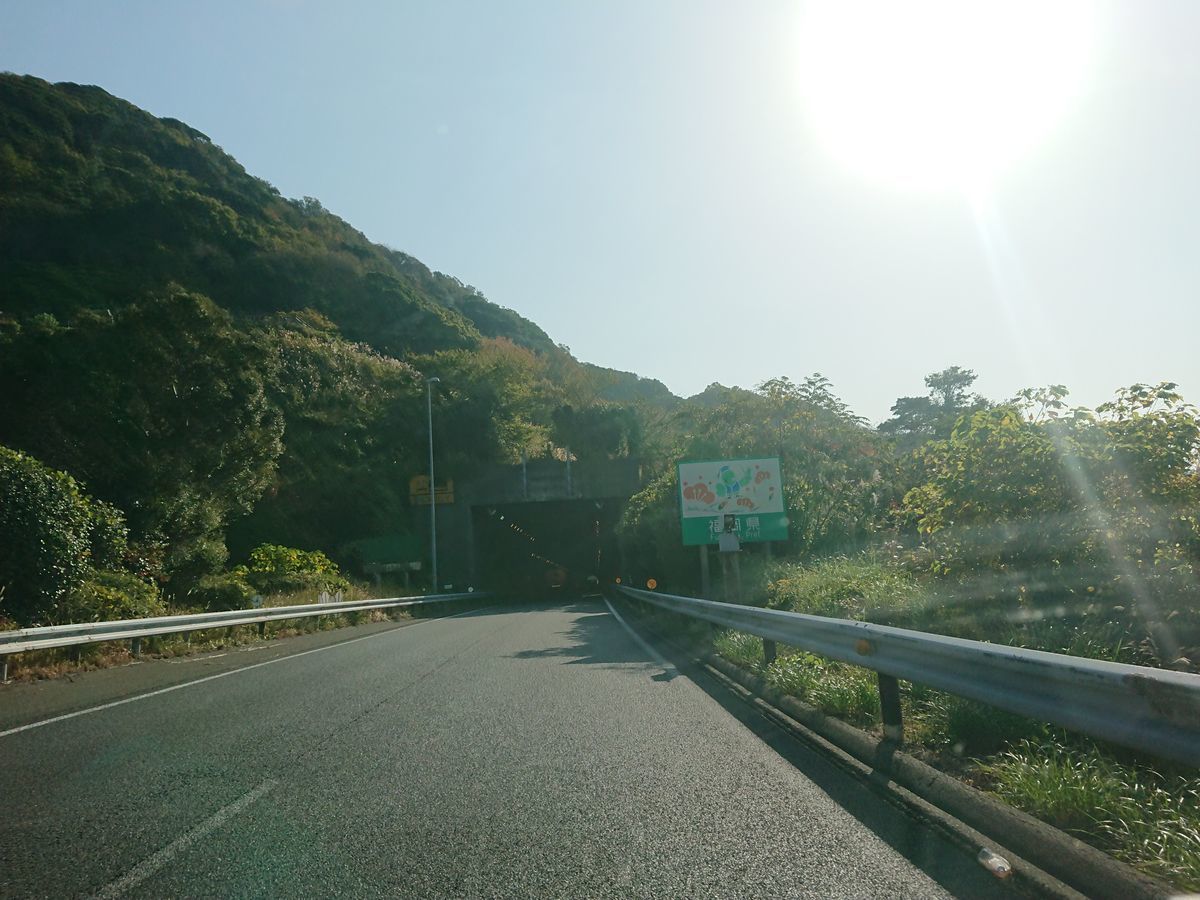 f:id:damtraveller:20211117195925j:plain