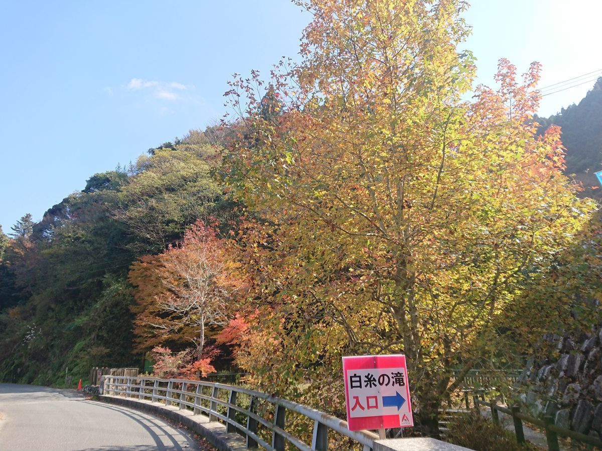 f:id:damtraveller:20211117200804j:plain