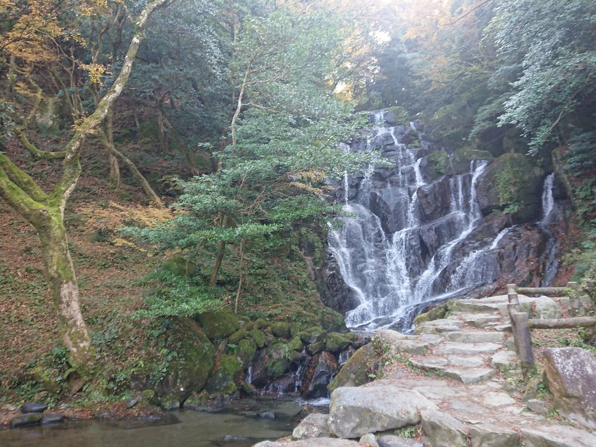 f:id:damtraveller:20211117200814j:plain