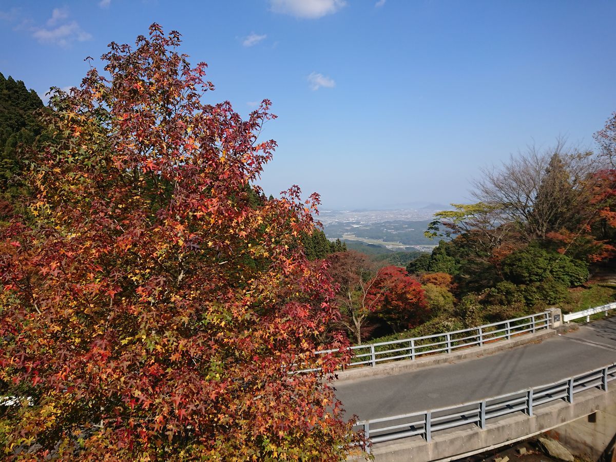 f:id:damtraveller:20211117200938j:plain