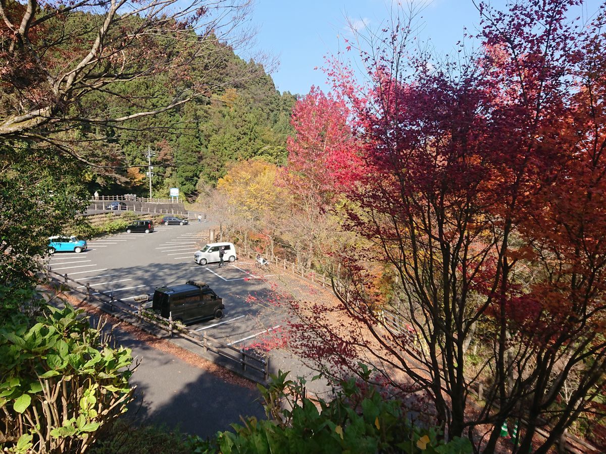 f:id:damtraveller:20211117201009j:plain