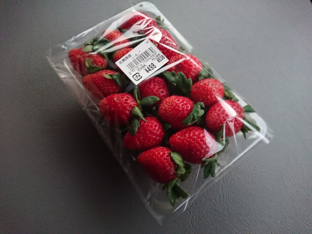 f:id:damtraveller:20211118192937j:plain