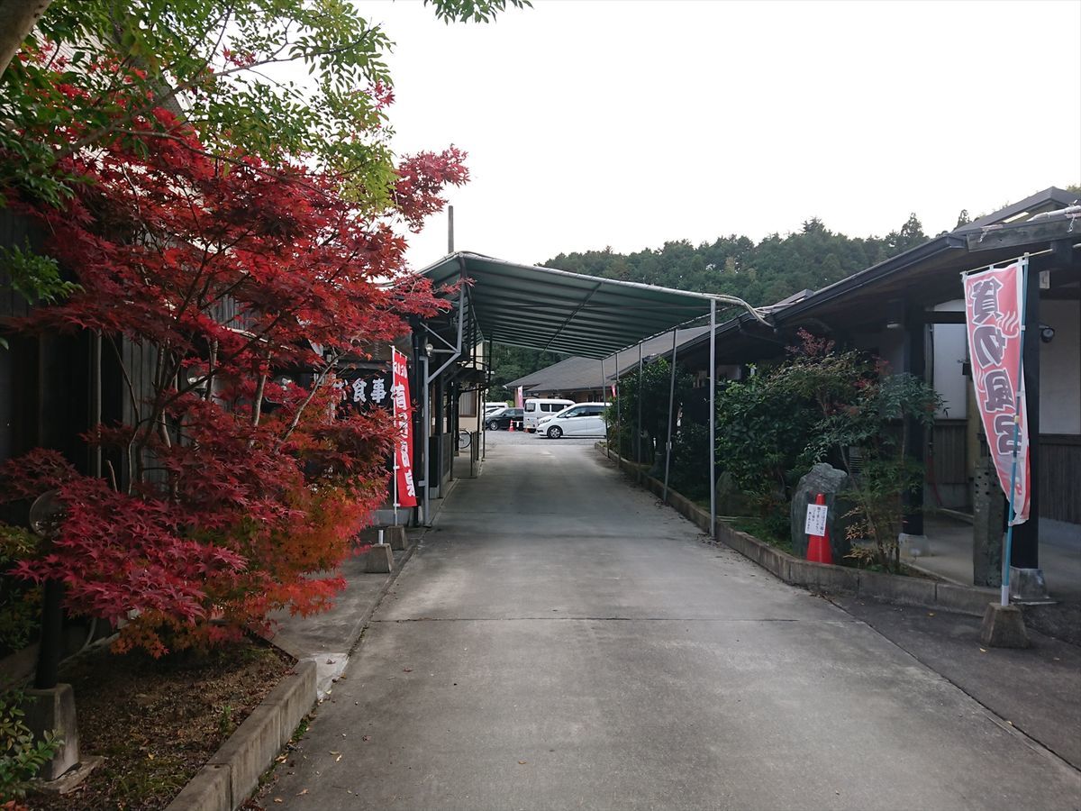 f:id:damtraveller:20211118193438j:plain